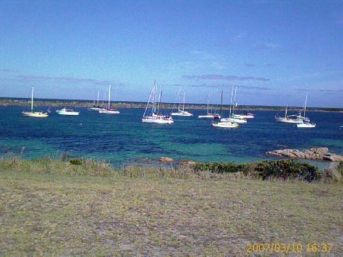 The majority of the fleet in Grassy Harbour © Troy Humphrey